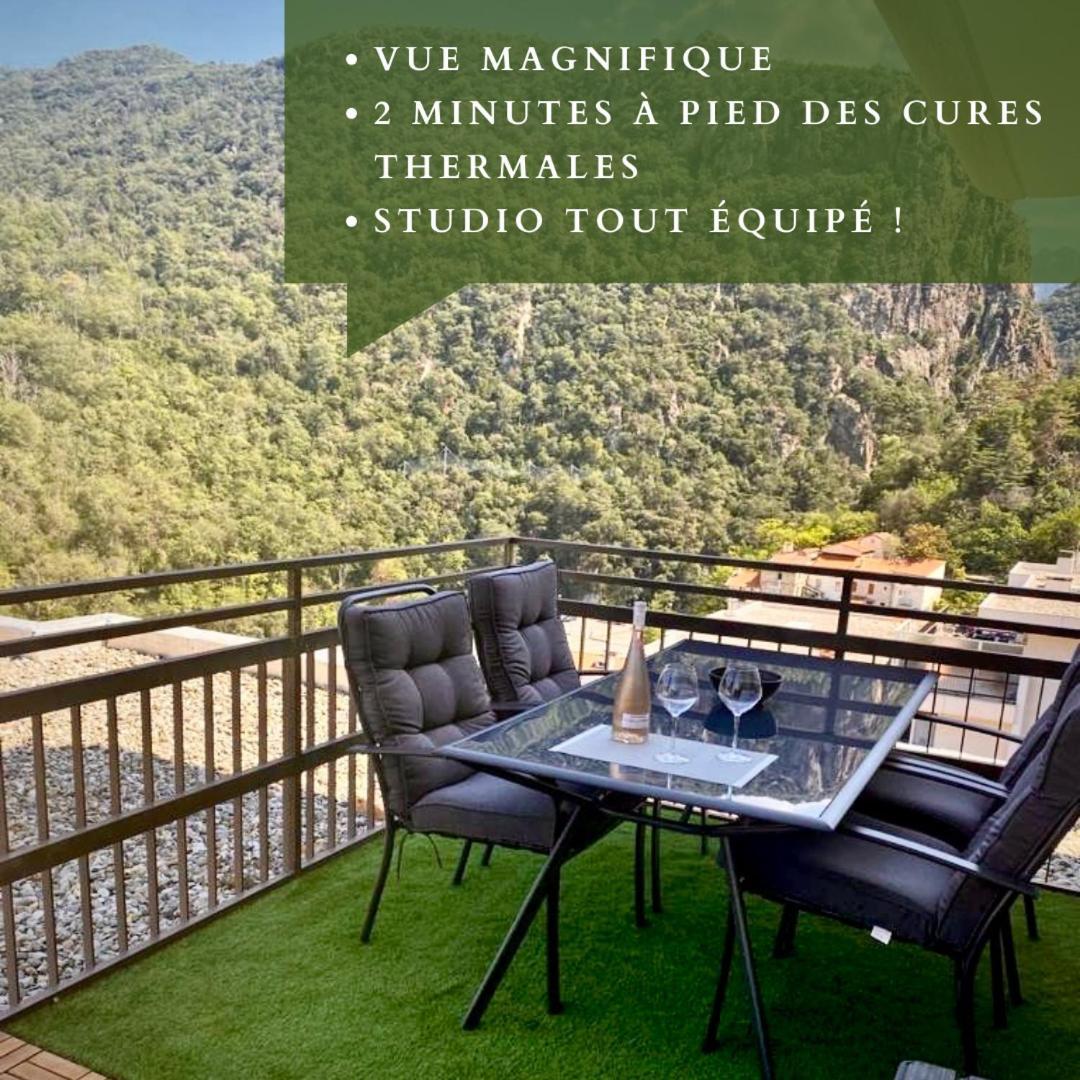 Studio Tout Equipe Amélie-les-Bains-Palalda Eksteriør billede